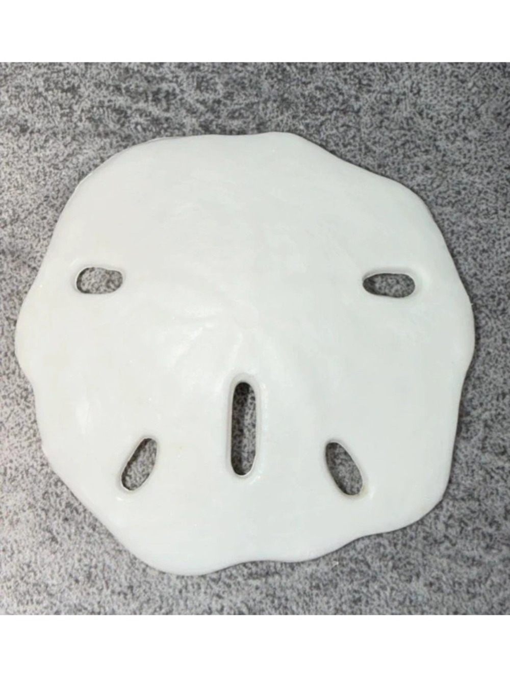 1 Resin White Sand Dollar Beach House Nautical Coastal Cottage Decor Tropical